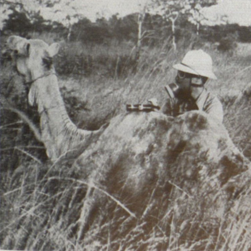 reporter with camel.jpg